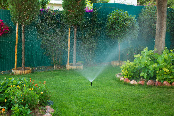 Automatic sprinkler watering in the garden Automatic sprinkler watering in the garden. agricultural sprinkler stock pictures, royalty-free photos & images