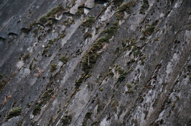 istock Texture background. Old slate covered with islands of green moss. 1389349805