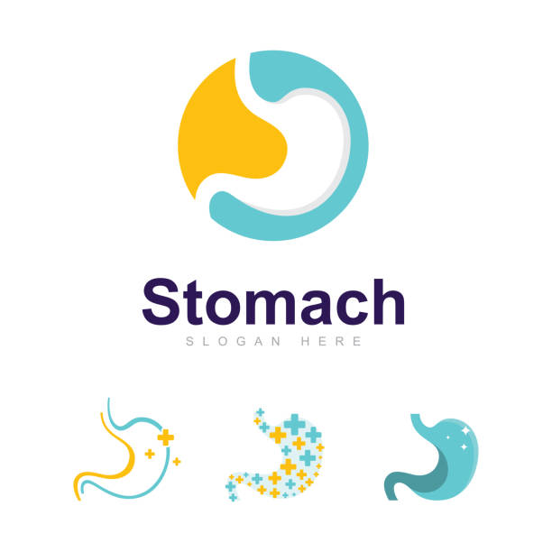 illustrations, cliparts, dessins animés et icônes de modèle de conception vectorielle de logo de soins de l’estomac, symbole d’estomac créatif - estomac