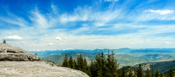 Magnificent panoramic view the coniferous forest on the mighty Carpathians Mountains and beautiful blue sky background. Beauty of wild virgin Ukrainian nature. Peacefulness. View from the mountain handwritten stone on the Carpathian mountains.