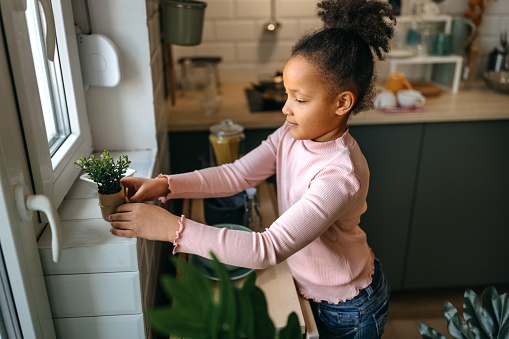 High angle view of cute girl with curly hair placing small potted plant on window sill while standing in kitchen