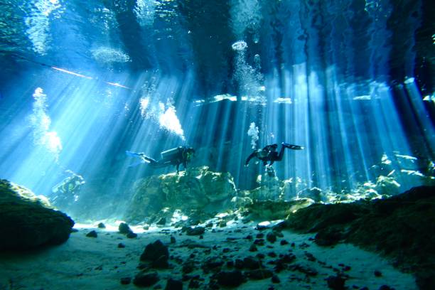 diving in dos ojos cenote, mexico - lanzarse al suelo fotografías e imágenes de stock