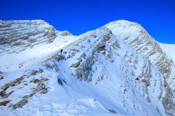 montagnes enneigées des alpes slovènes - 11242 photos et images de collection