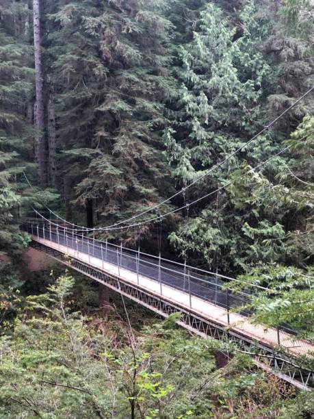 istock Suspension bridge over drift creek falls 1389362265