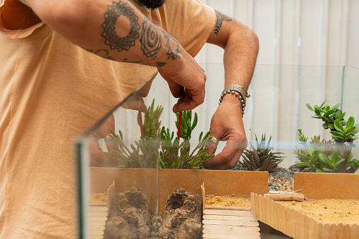 Latino artist from Bogota Colombia between 40 and 49 years old, makes a work with succulent plants while depositing them in a fish tank as a home for a hamster