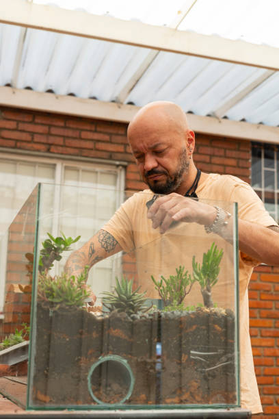 istock Artist makes a work with succulent plants while depositing them in a fish tank as a home for a hamster 1389362669