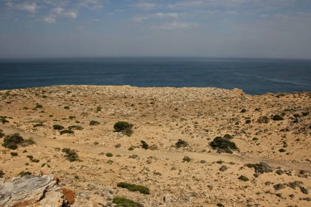 オーストラリア南部の岩だらけの海岸線 - 11313 ストックフォトと画像