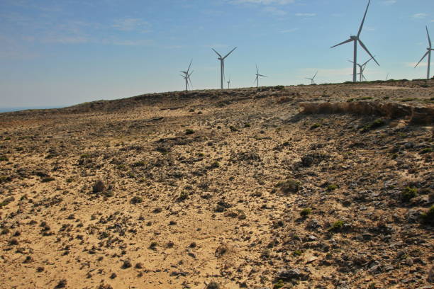 molinos de viento en la parte costera de australia - 11310 fotografías e imágenes de stock