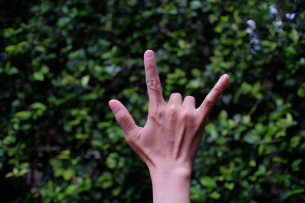 istock Finger symbol for bull or horned animal 1389376929