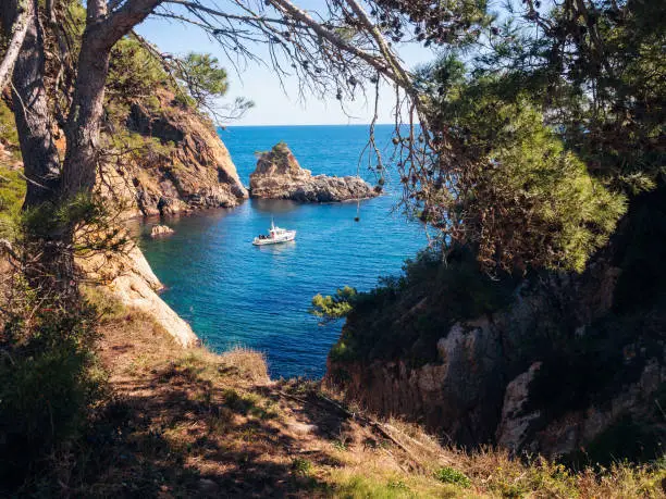 pine forest next to a wild cove on the Costa Brava where a pleasure boat is anchored, concept of nature and seafaring lifestyle