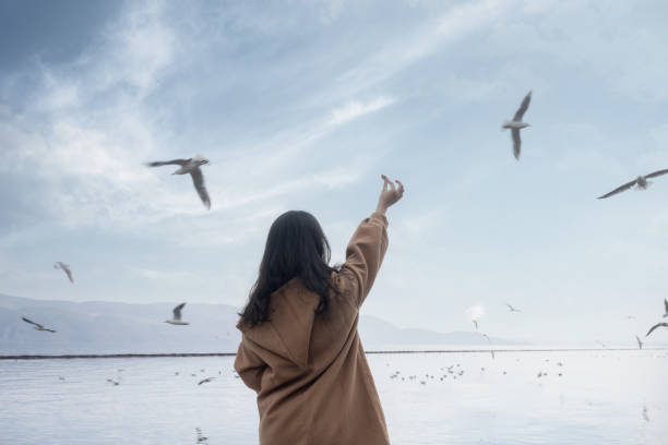 girl who feeds the seagulls on the beach