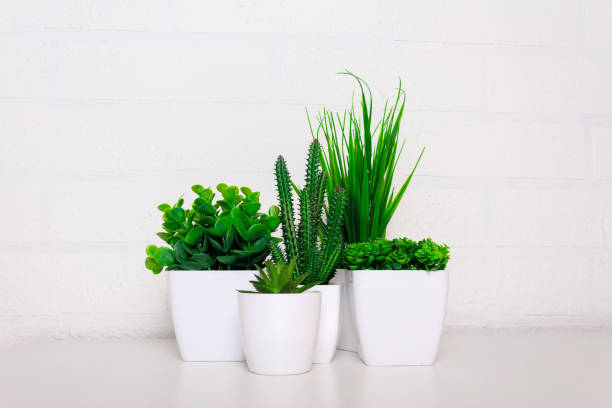 istock Set artificial flowers, succulents, grass and greenery 1389401147