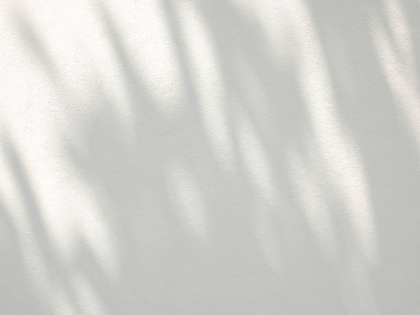 istock Abstract shadow of leaves on a white wall 1389404077