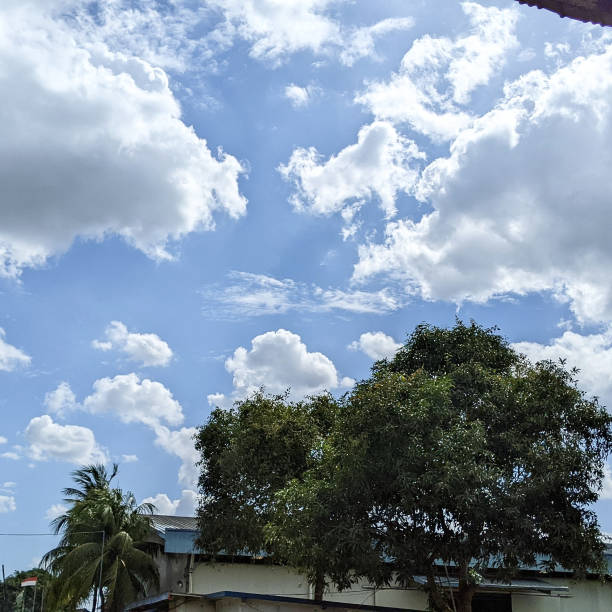 istock Beautiful blue sky and white clouds, over the threes 1389404876