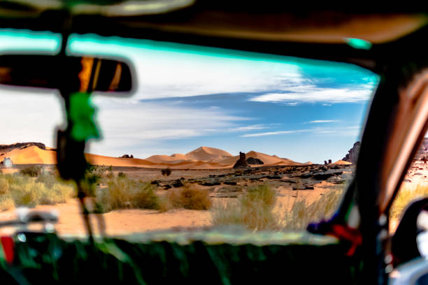 Dry herbs and trees, colorful blue cloudy sky. Tadrart Rouge, Djanet, Illizi. Tassili N'Ajjer.