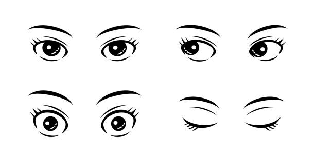 illustrations, cliparts, dessins animés et icônes de grandes yeux, cils et sourcils pour femmes pièces icon vector material - battre des paupières