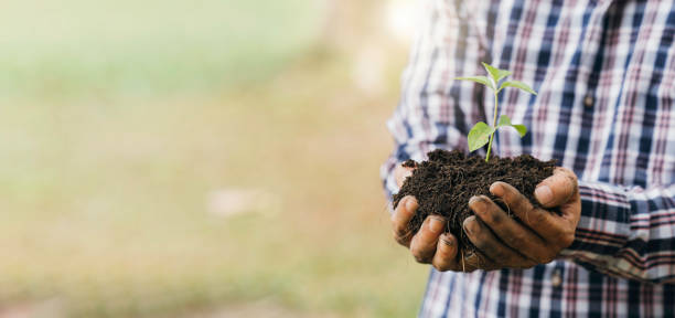 istock Planting a tree. Close up on young man planting the tree while working in the garden. 1389414689