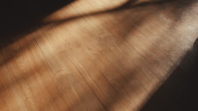 shadow leaf with blowing wind overlay on brown wood floor background