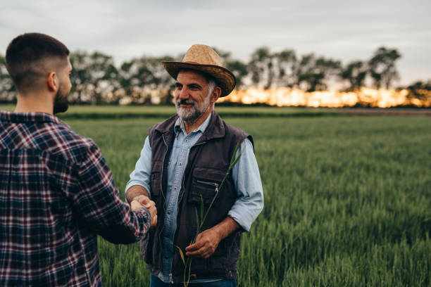 farmers on field - photography gray hair farmer professional occupation imagens e fotografias de stock