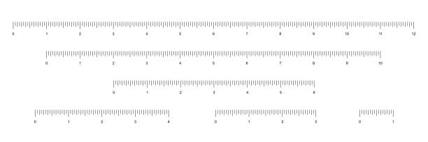 ilustrações de stock, clip art, desenhos animados e ícones de set of rulers to measure length in inches vector illustration. simple school instrument with english system measures scales for measurement 12, 10, 6, 4, 3, 1 inches, collection for math background. - tape measure measuring length vector