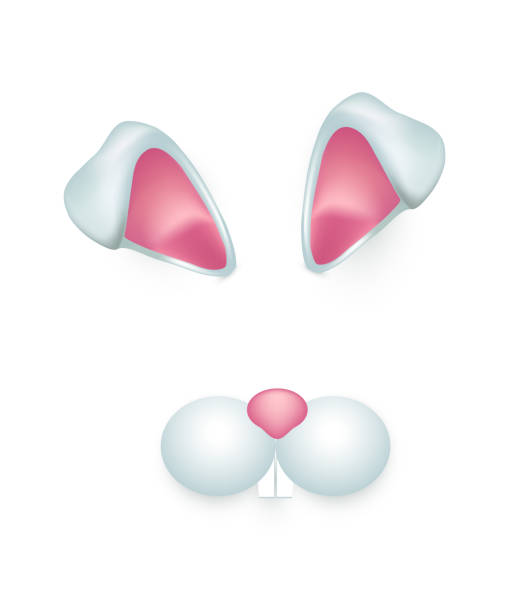 Ears of spring bunny and cute muzzle, 3d funny Easter rabbits mask for mobile app Ears of spring bunny and cute muzzle vector illustration. 3d funny Easter rabbits mask for mobile app filter, happy hare animal, pretty decorative girlish headband and costume isolated on white rabbit tooth stock illustrations