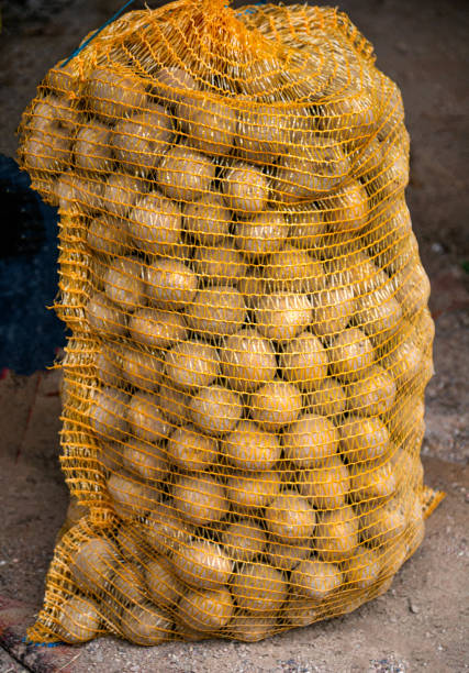 istock Harvest light young potatoes in a transparent bag. 1389428206