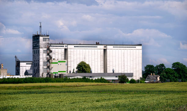 istock A huge white building for storing grain in the field. 1389428241