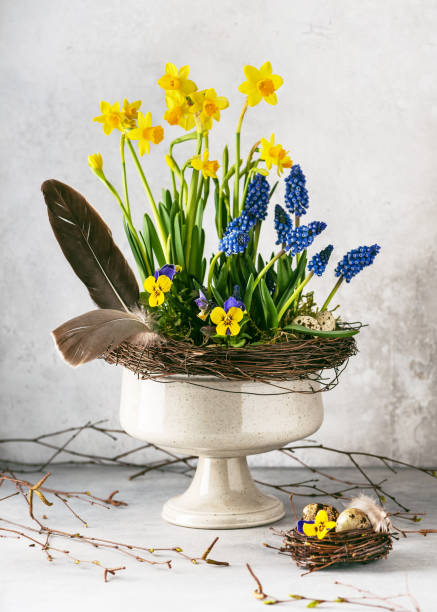 bellissima disposizione floristica primaverile con giacinto d'uva blu, narciso e fiori viola nel vecchio vaso in ceramica vintage. - hyacinth flower vase daffodil foto e immagini stock