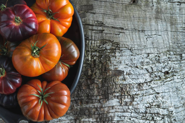 Tray with raf tomatoes and blue sea on old wood background. Copy space. Top view.