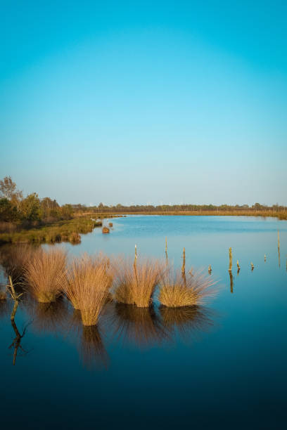 istock Lake in the moor 1389436208