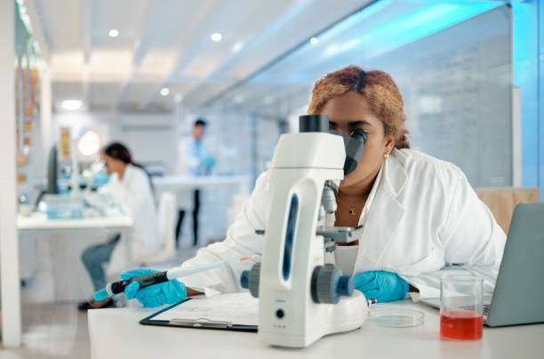 aufnahme einer jungen laborarbeiterin, die proben durch ein mikroskop analysiert - real people adult examining working stock-fotos und bilder