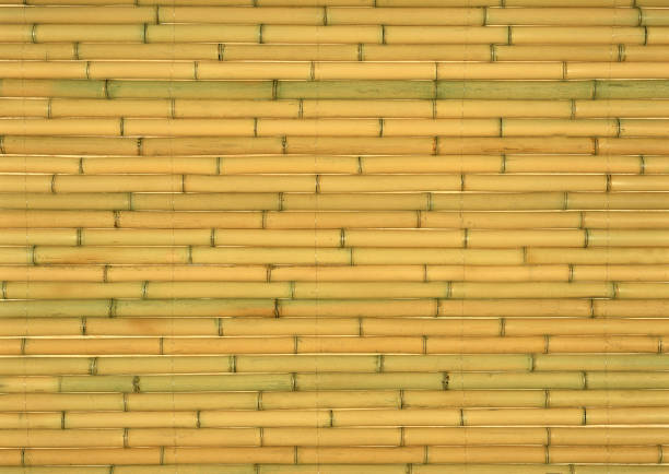 istock Horizontal layout of bamboo close-up.Texture or background 1389446269