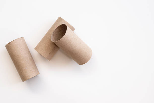 istock empty toilet paper rolls on white background 1389451873