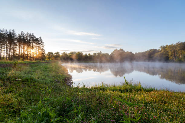 istock Foggy river in the morning. 1389453502