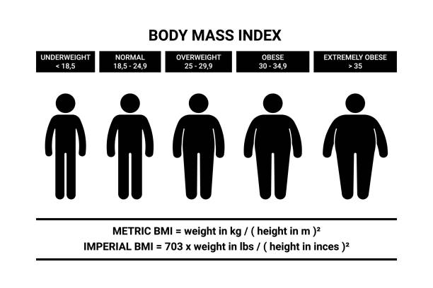 스틱 피겨 맨 바디 질량 지수 공식 벡터 일러스트 세트. 사람 bmi 인포그래픽 차트 아이콘 실루엣 실루엣 화면 에 흰색 배경 - emaciated weight scale dieting overweight stock illustrations