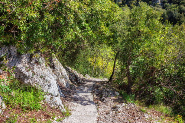 szlak przybrzeżny nietzschego path we francji - friedrich nietzsche zdjęcia i obrazy z banku zdjęć