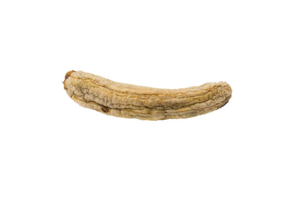 istock close-up, peeled dried banana, on a white background 1389459382