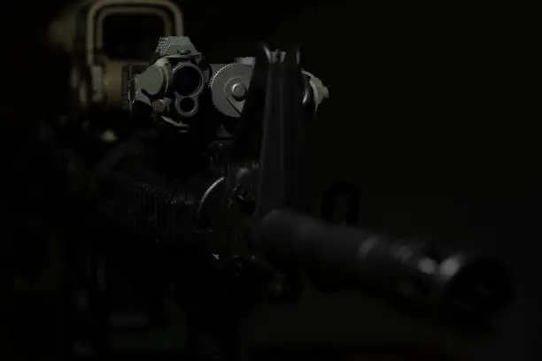 Rifle with optical sight and laser device