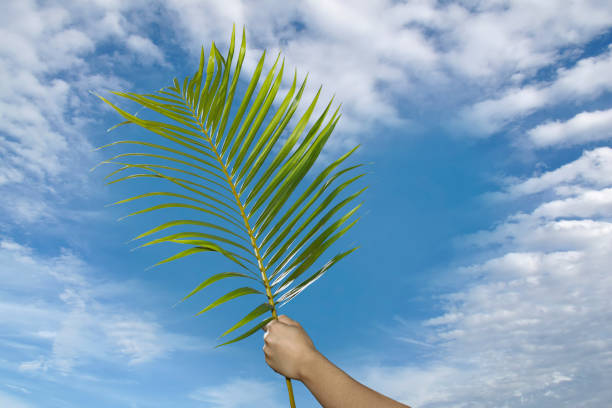 istock Palm Sunday Holy Week 1389467483