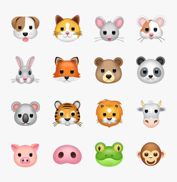 set von tiergesichtern, gesichts-emojis, aufklebern, emoticons. - female animal stock-grafiken, -clipart, -cartoons und -symbole