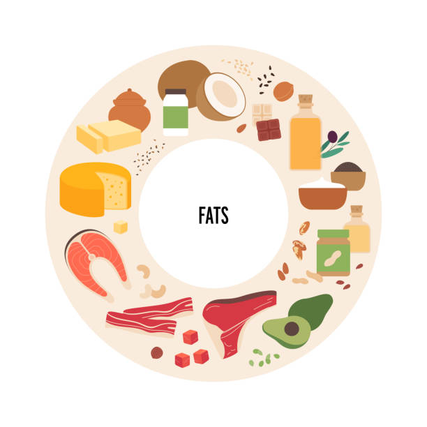 ilustrações de stock, clip art, desenhos animados e ícones de food and meal ingredients vector flat illustration set. fat sources food plate infographic circle frame with label. colorful food and meal icon set of meat, seafood, vegetables and dairy products. - animal fat