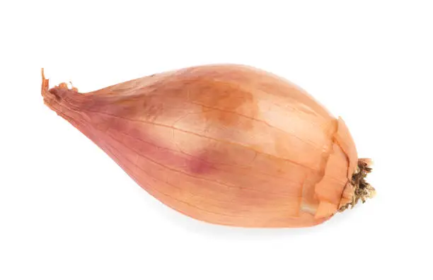 Unpeeled small brown onions on white background