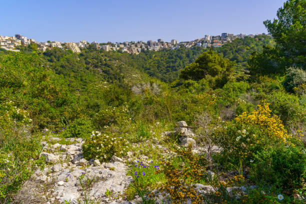 istock Mount Carmel upper neighborhoods, with trees and spring wildflowers, Haifa 1389470367