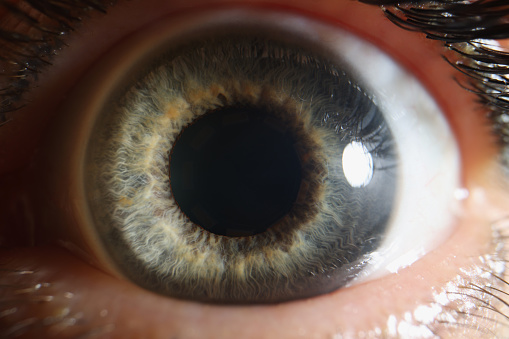 Macro open human eye, dilated pupil of gray color, close-up. Shocked look of a man, anatomy people