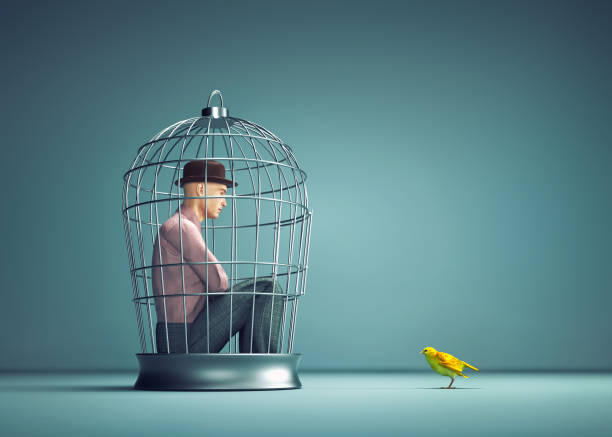 uomo all'interno di una gabbia per uccelli con un uccello giallo fuori. - irony foto e immagini stock