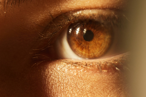 Extreme close up of brown woman's eye.