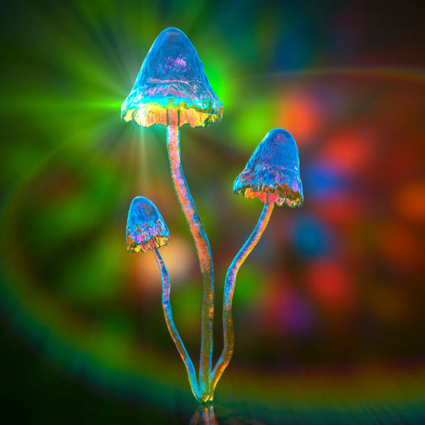 champignons à psilocybine, illustration 3d - magic mushroom psychedelic mushroom fungus photos et images de collection
