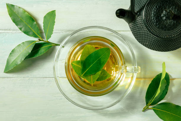 Bay leaf tea. Fresh laurel leaves infusion with a cup and a teapot stock photo