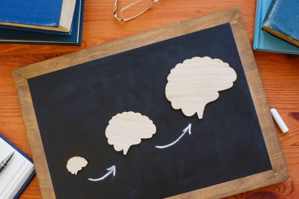 istock Lifelong or continuous learning concept. Brains on the blackboard. 1389478760