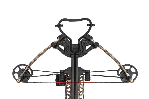 istock Modern crossbow isolate on a white background. Quiet weapon for hunting and sports. 1389479901